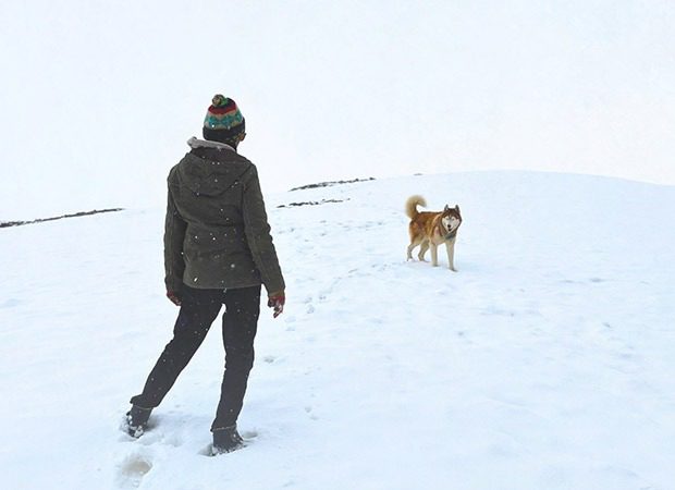 Oslo: A Tail Of Promise to make it’s IFFI 2025 debut, a touching tribute to the power of animal companionship 2025 : Bollywood News